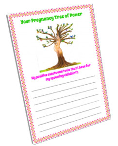 coverFinal-#-My-Pregnancy-Toolkit---The-Tree-Of-Power