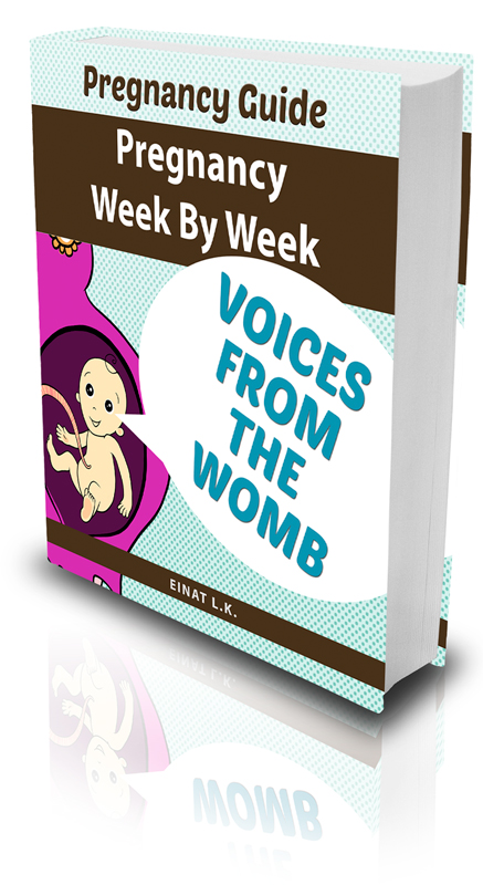 voices-from-the-womb-ebook-cover